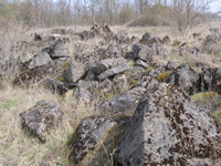 Findlinge aus Krensheimer Muschelkalk - Kernstein zum Teil mit Moos bewachsen